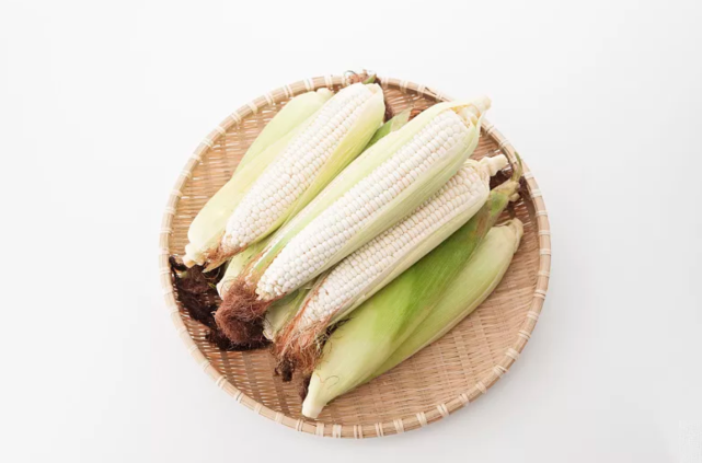玉米蛋白质多吗(玉米蛋白质多吗能吃吗)