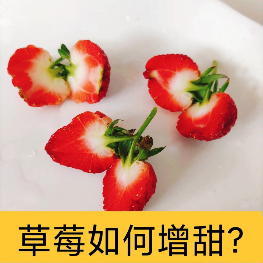 屁股种草莓(为什么草莓要长屁股)