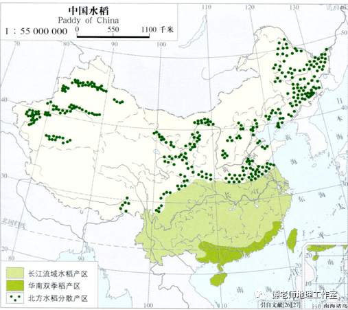 我国水稻的种植面积(我国水稻的种植面积种植时间是多少)
