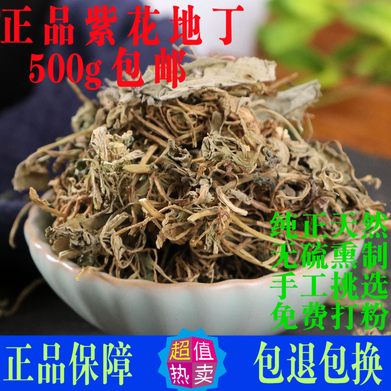 苦丁草有什么作用和功效(苦丁草有什么作用和功效图片)