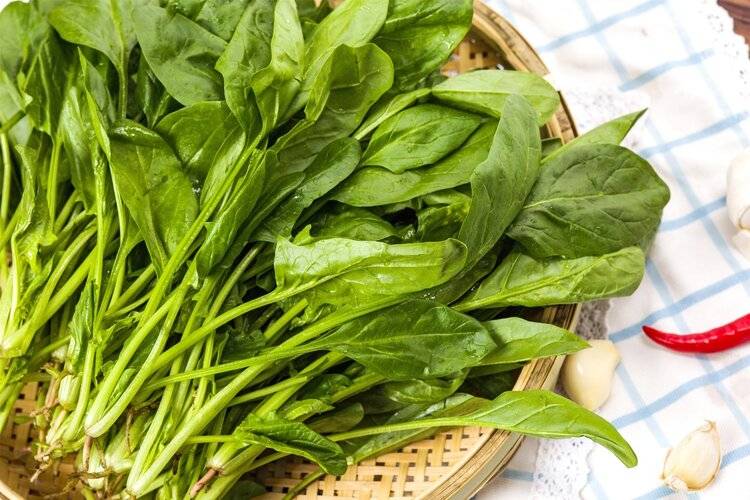豆角嘌呤(豆角嘌呤高吗)
