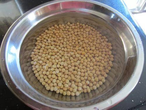 种黄豆需要浸泡吗(种黄豆用不用提前用水泡一下)