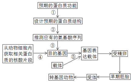 转基因动物原理(转基因动物原理图解)