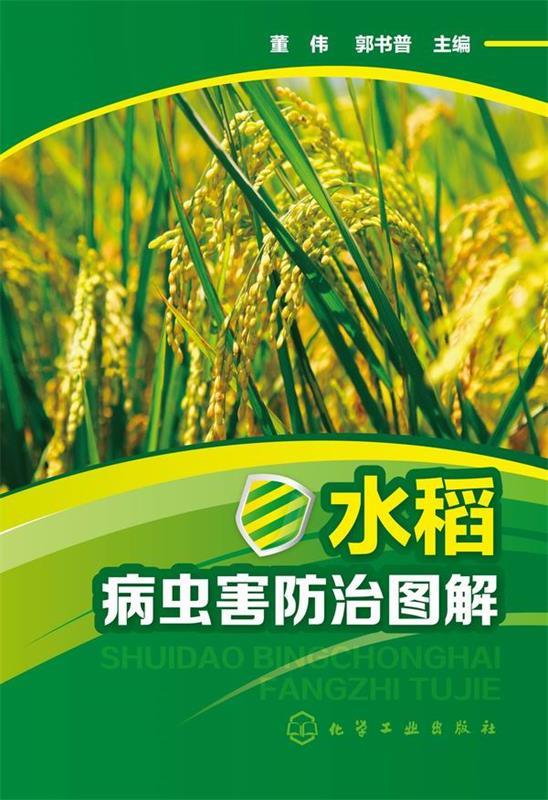 水稻虫害图片与防治(水稻虫害图片与防治水水稻)