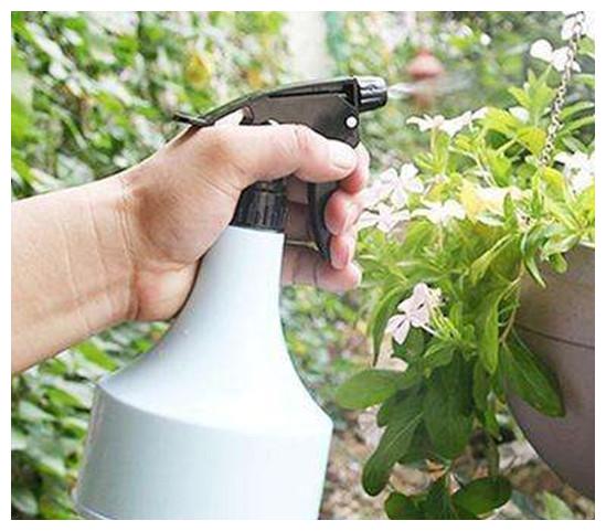 不用农药杀虫的方法(不用农药消灭害虫的方法)