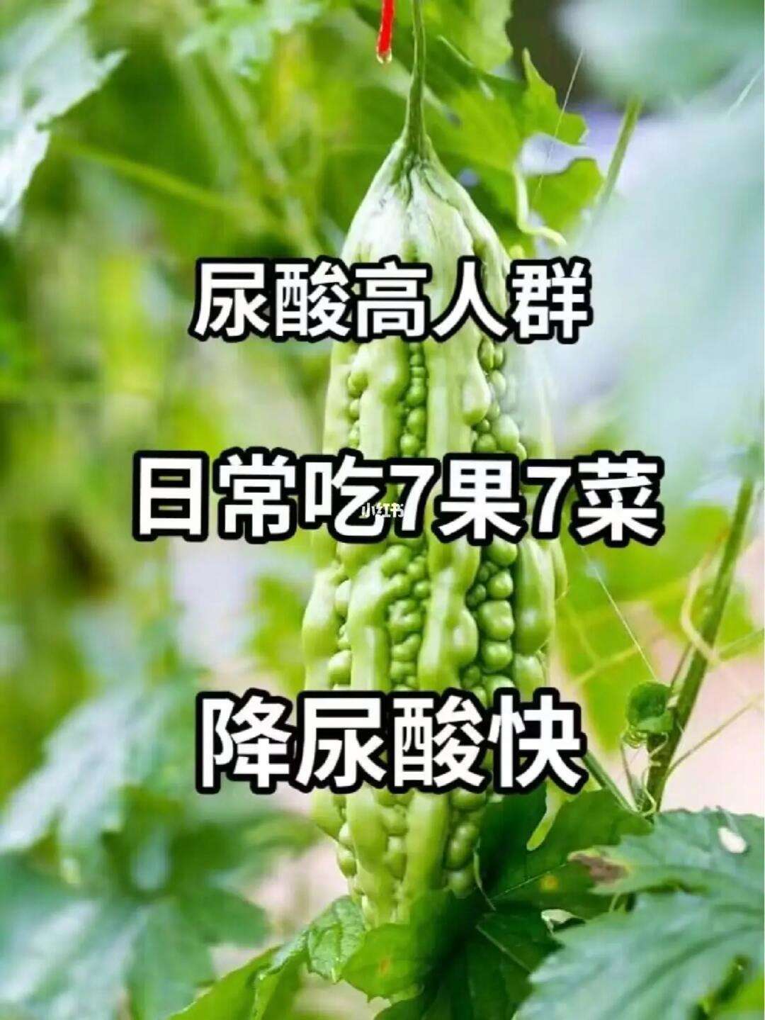丝瓜降尿酸吗(丝瓜能降低尿酸吗)