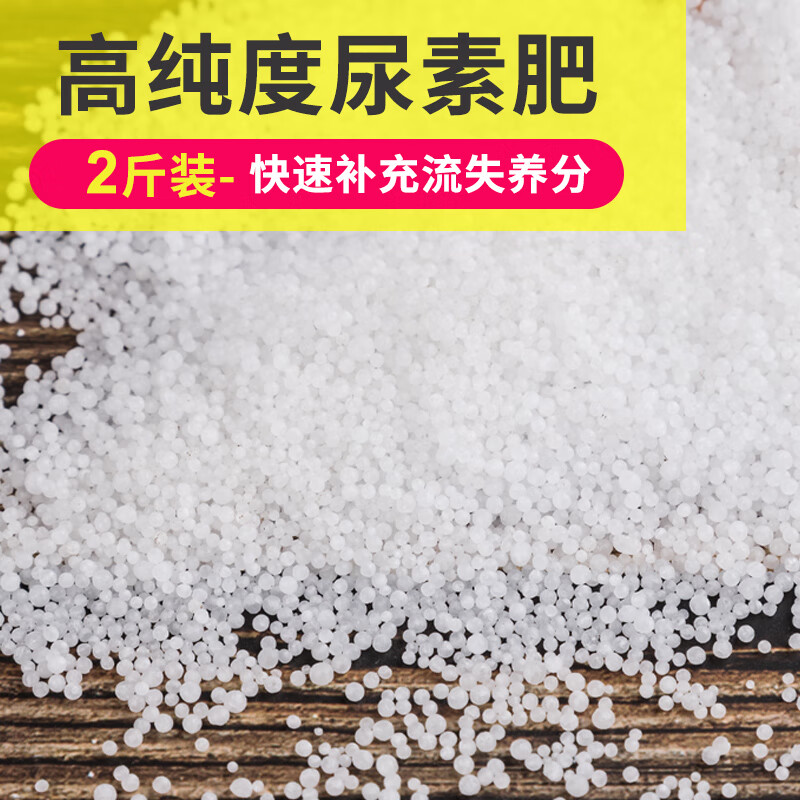 氮肥是什么尿素肥料(氮肥是什么肥是尿素吗)