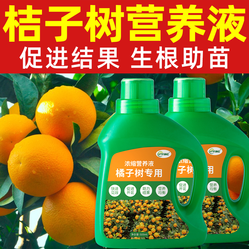 柑橘冬季施肥(柑橘冬季施肥最佳时间)