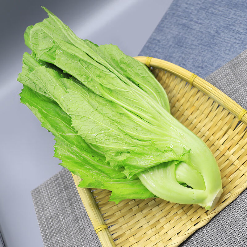 关于芥菜农村叫什么菜的信息