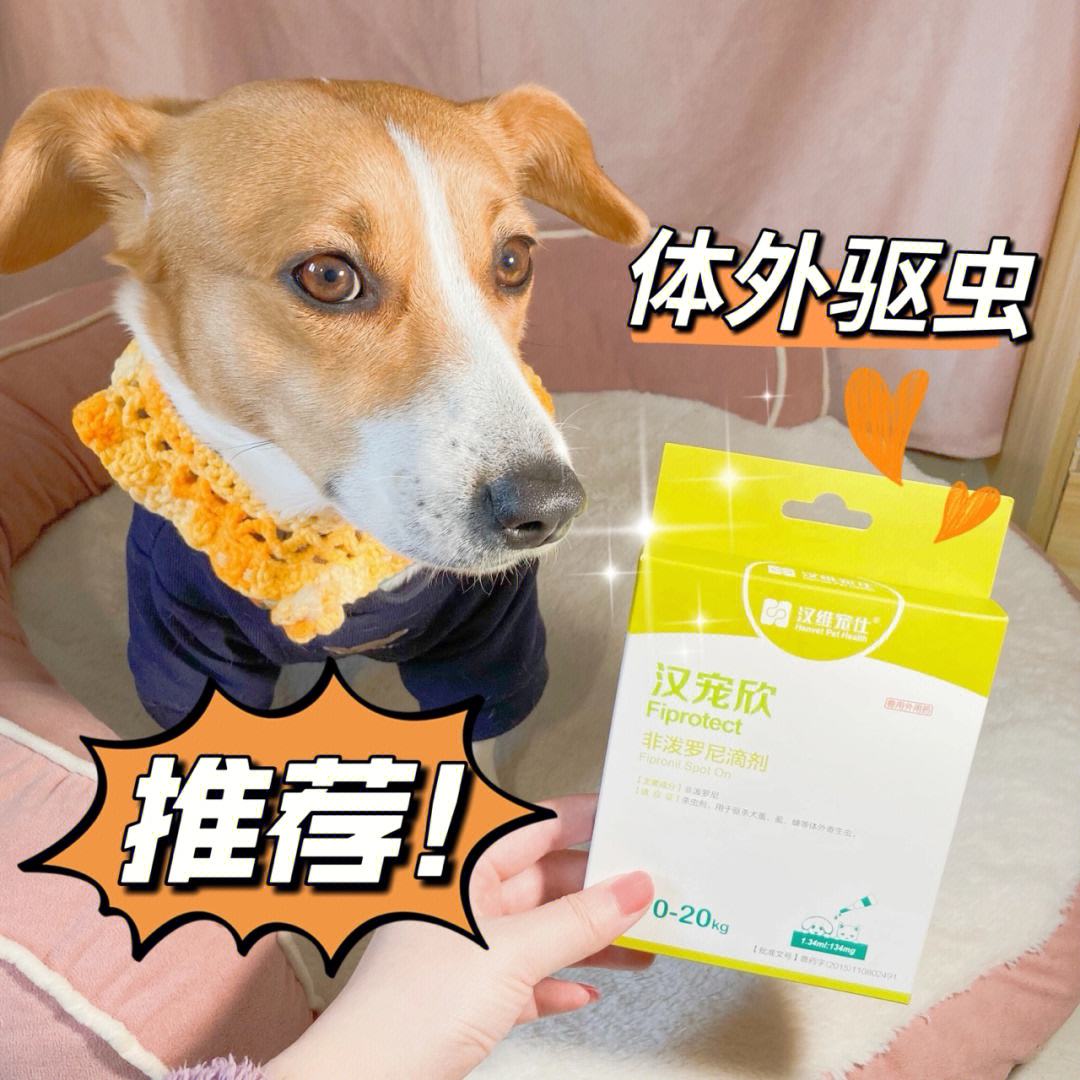 给狗杀虫(给狗杀虫用什么药玻璃药瓶的那种)