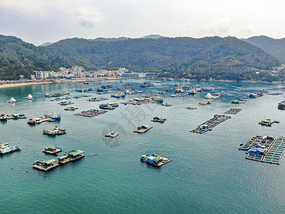 海南海产养殖(海南水产养殖业)