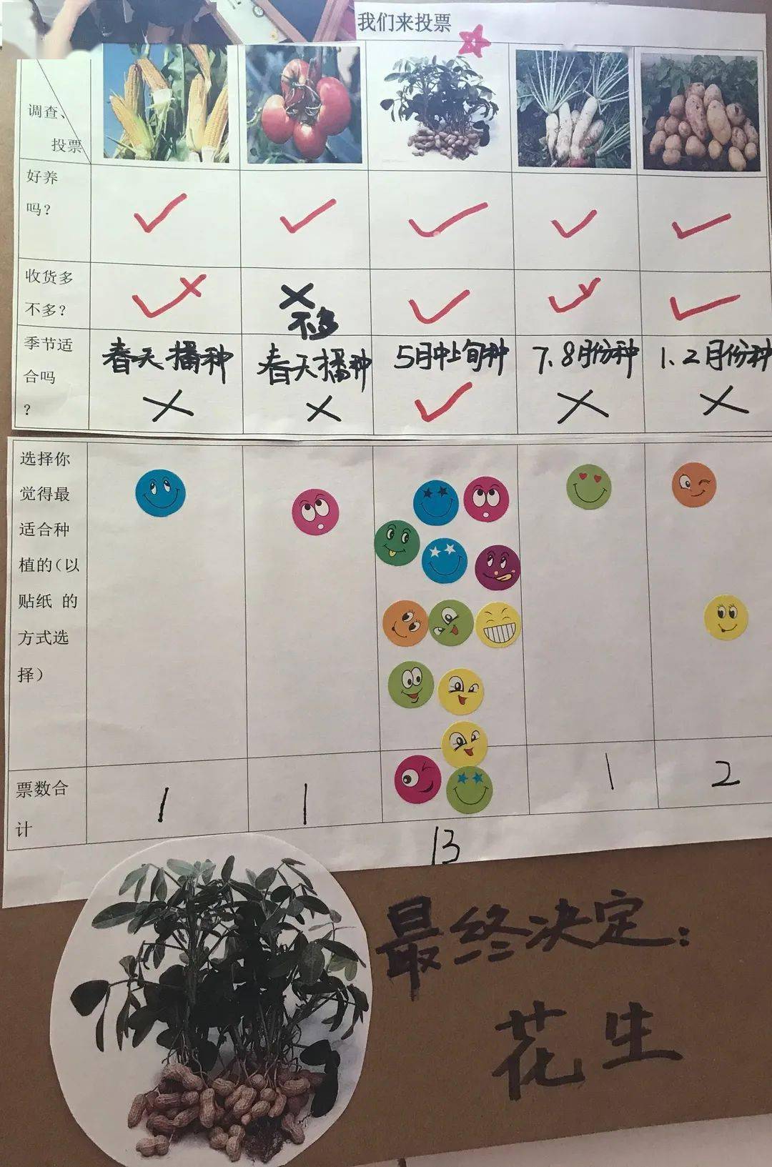 西瓜种植记录表图片(西瓜种植图片观察记录)