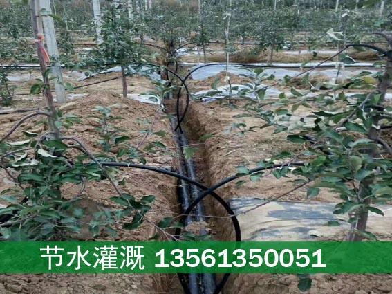 果树滴灌工程多少钱一亩(果树滴灌一亩地需要多少水)