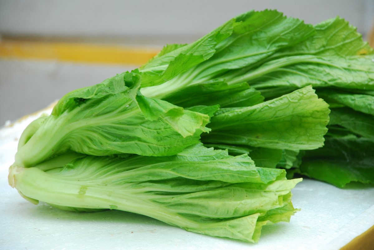 江西芥菜图片(芥菜在江西叫什么)