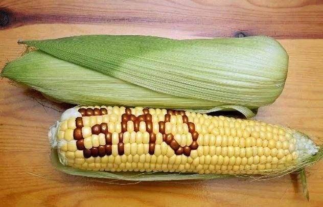 转基因食品的图片(转基因食品的图片高清)