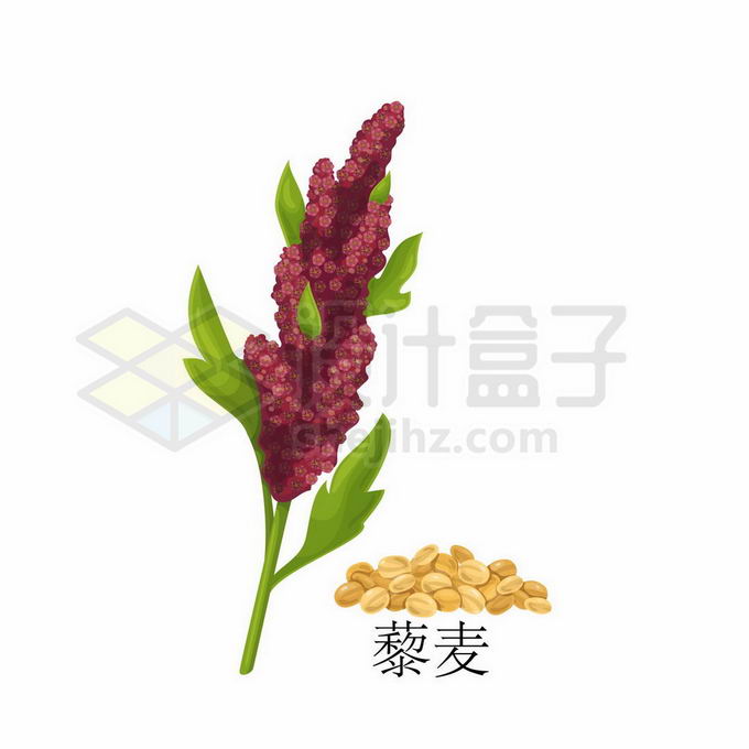 藜麦是转基因农作物(藜麦是转基因农作物吗)