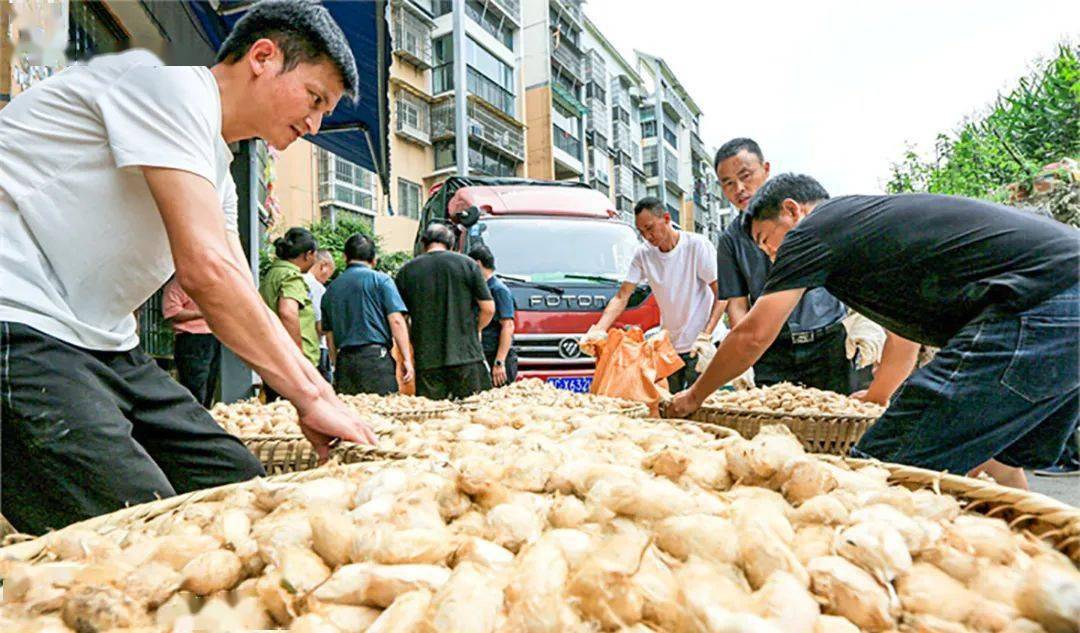 东北柞蚕室内养殖技术(东北柞蚕室内养殖技术方法)