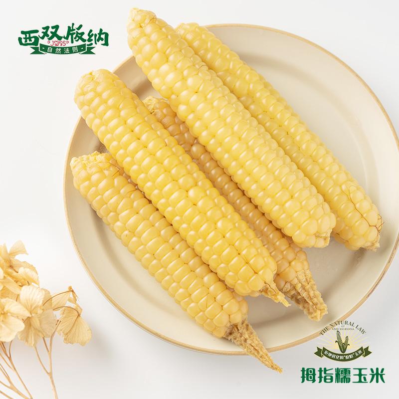 白色糯米玉米(糯玉米白色的好还是黄色的好)