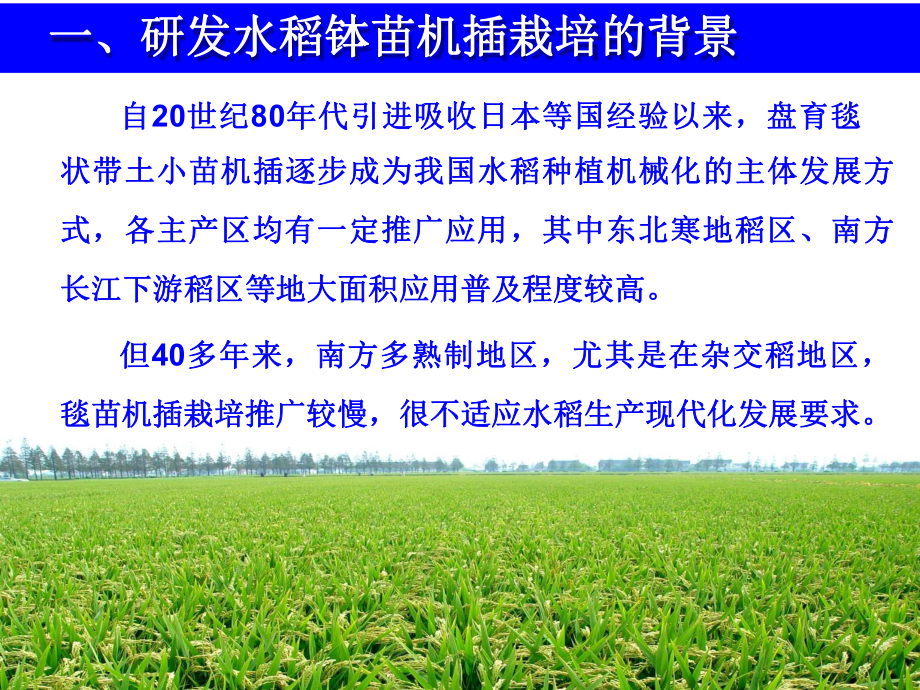 水稻栽培技术要点(水稻栽培技术要点分析 文献综述)