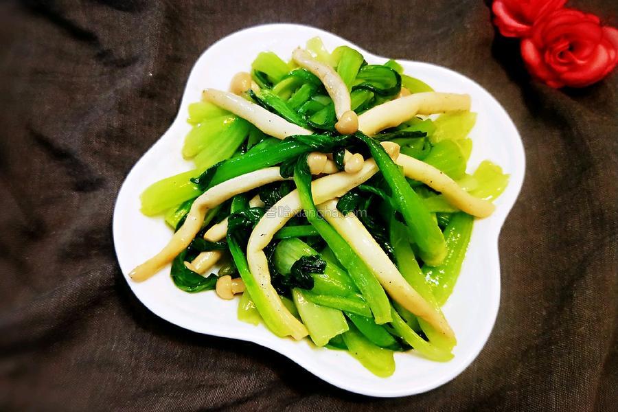 白菜白玉菇(白菜白玉菇汤的做法)