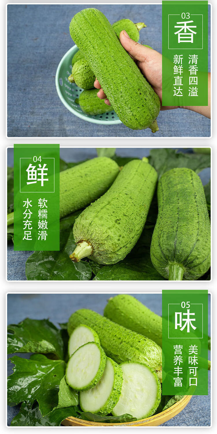 短丝瓜(短丝瓜的做法)