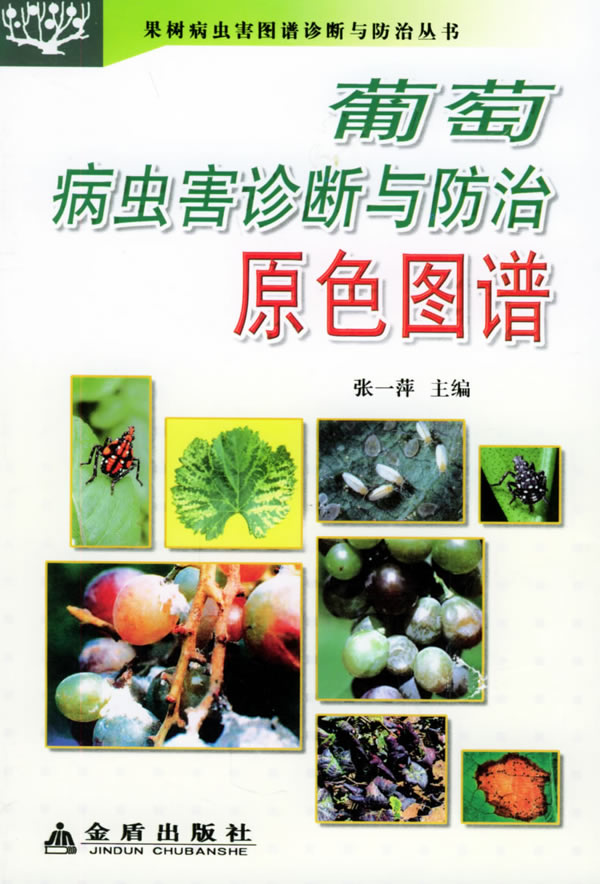 葡萄主要病害及其防治(葡萄的十一种常见病害表格+图片+详解)