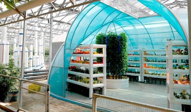 太空舱种植蔬菜(在太空种蔬菜会有什么变化)