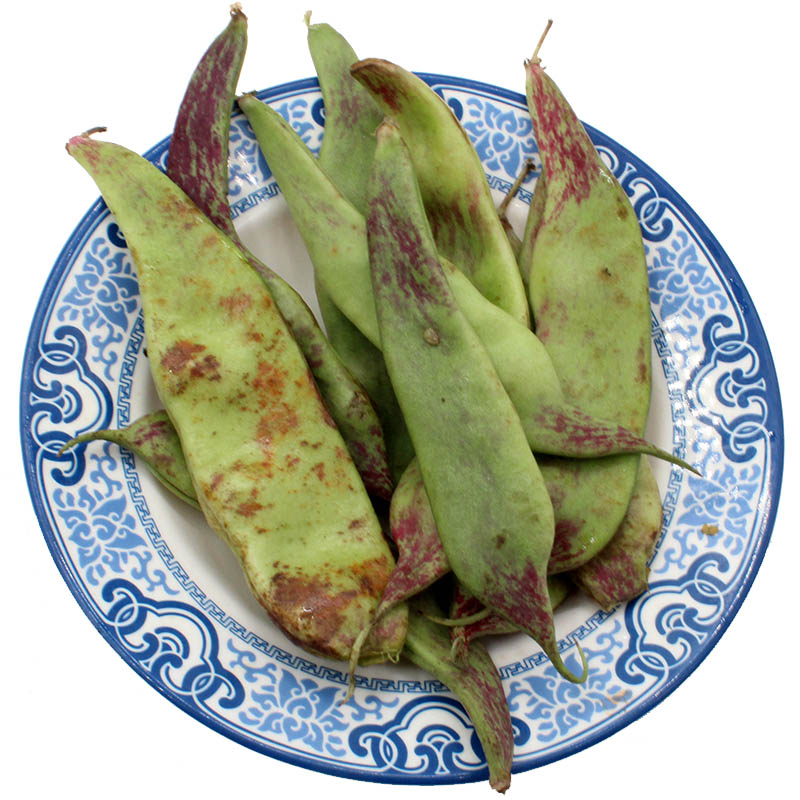 北方豆角图片(北方豆角叫什么)