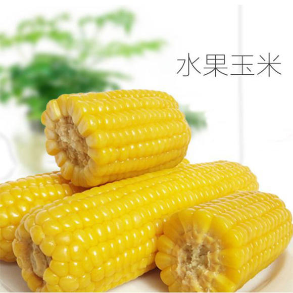 血糖高水果玉米能吃吗(血糖高水果玉米能吃吗有营养吗)