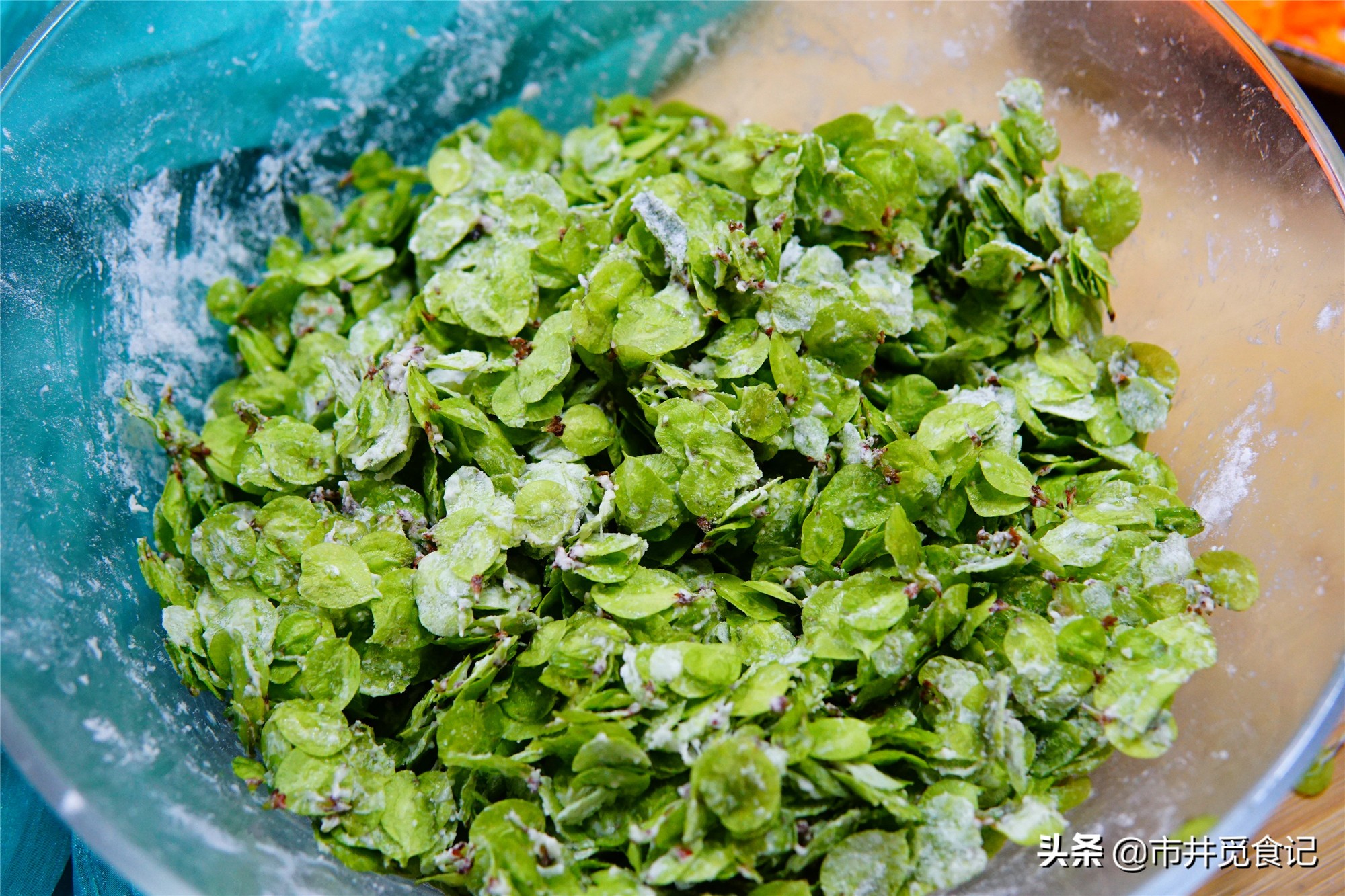 芥菜啥时候种东北(芥菜在东北什么时候种)