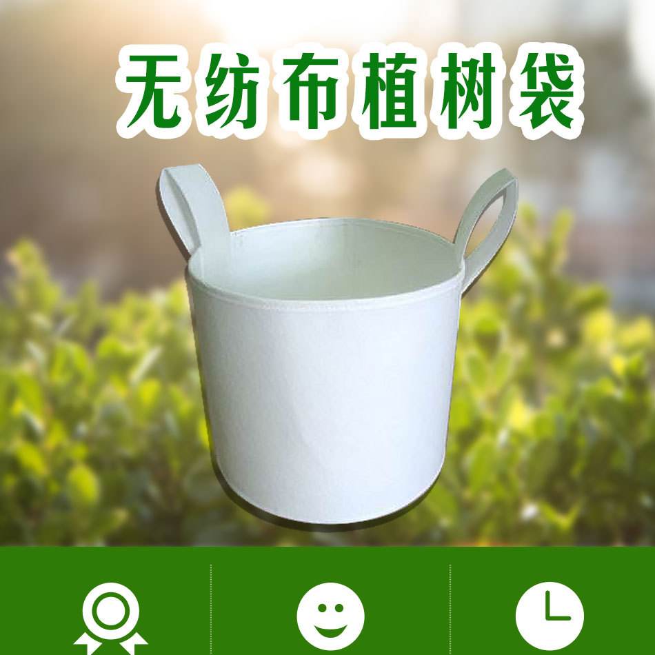 育苗袋是什么(育苗袋要去掉吗?)