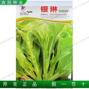 吉锦白菜种子(今锦白菜种子价格)