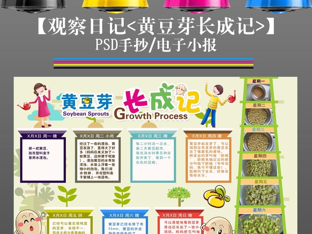 黄豆芽如何种植(黄豆芽种植过程图片)