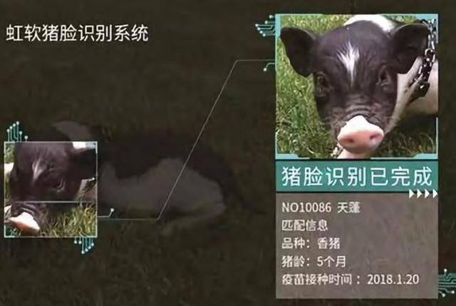 ai养殖技术(养殖技术视频教程)