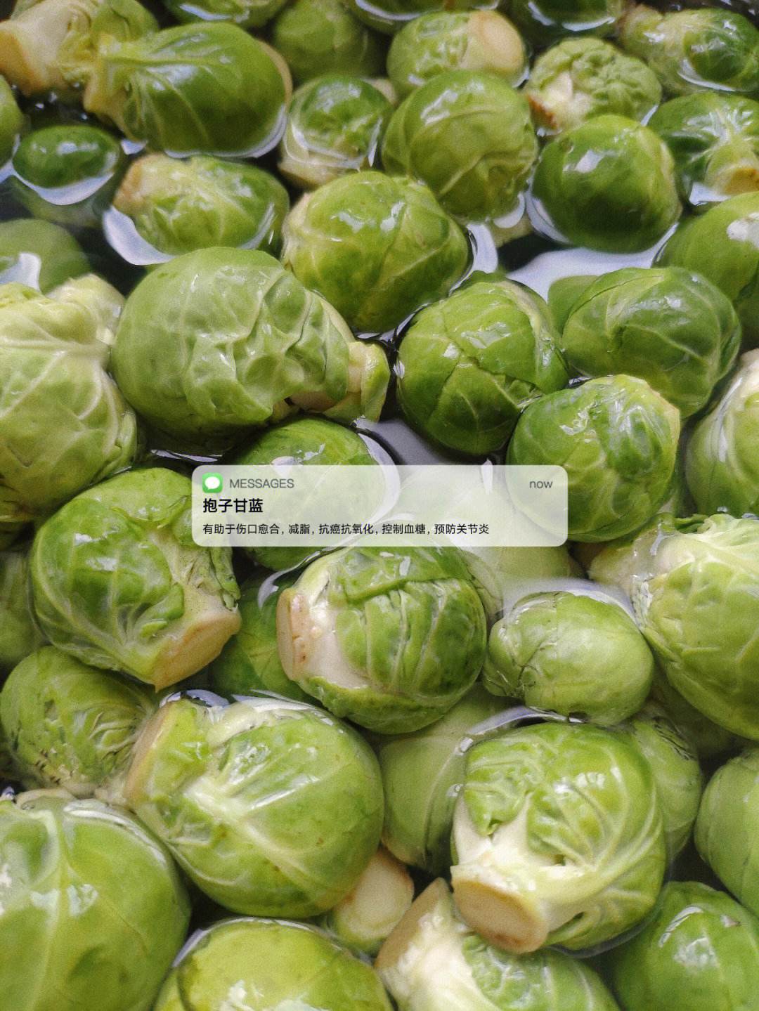 豹子甘蓝(豹子甘蓝一般在欧美地区用于生吃是对还是错?)