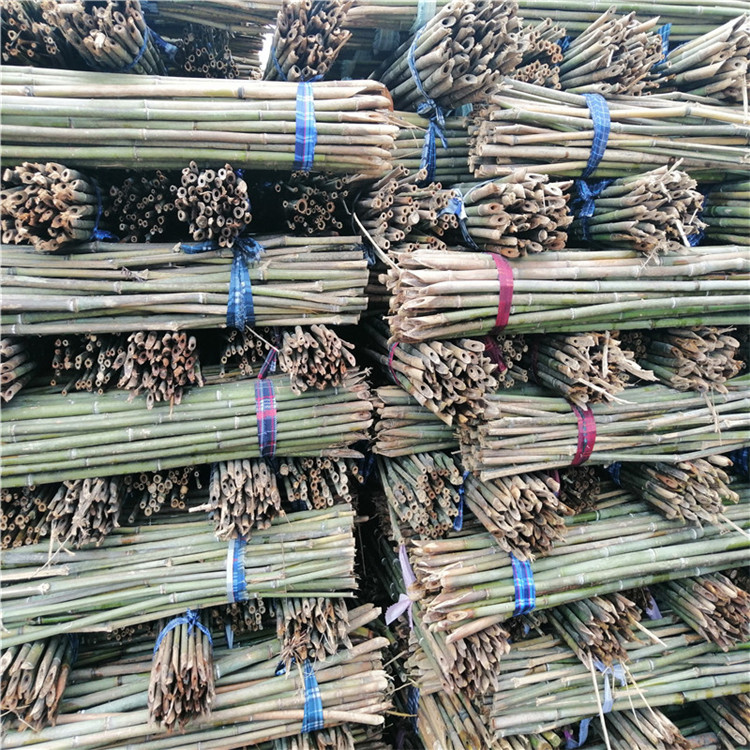 豆角架杆哪里批发(豆角架杆哪里批发不是竹子的呢)
