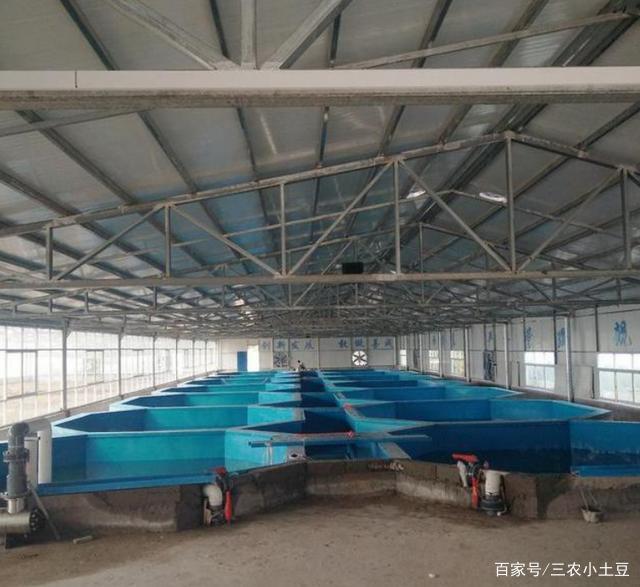 养殖业新技术(养殖业新技术发展趋势)
