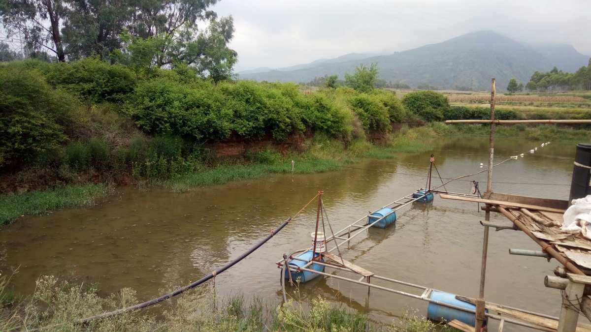 秋季水产养殖(秋季水产养殖小技巧)