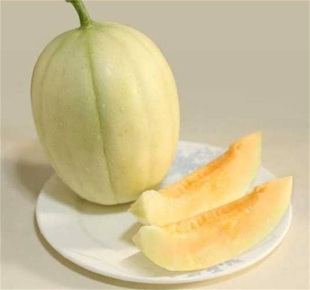 香瓜都有哪些品种(香瓜的品种最好的品种是什么品种?)