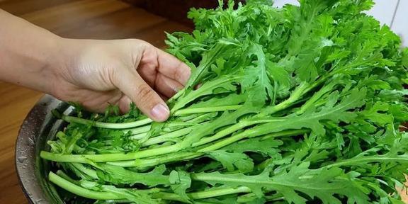 茼蒿咋种植(茼蒿种植方法步骤)