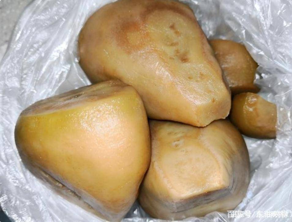 白菜根部长疙瘩(白菜根部长疙瘩能吃吗)