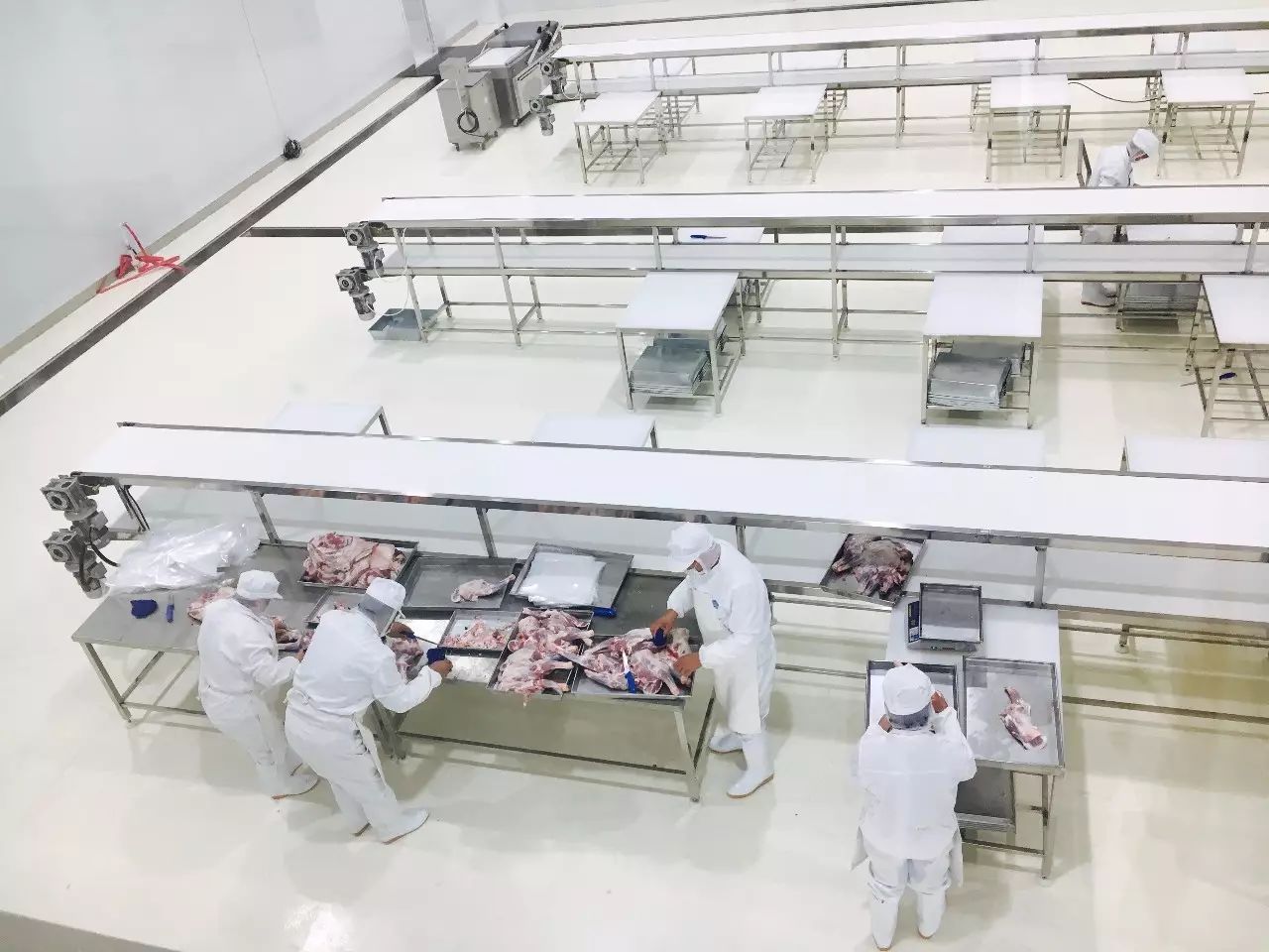 现代食品加工技术(现代食品加工技术有哪些)