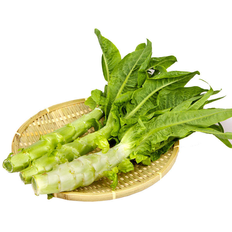 如何储存莴苣(莴苣怎么保存才能保鲜)