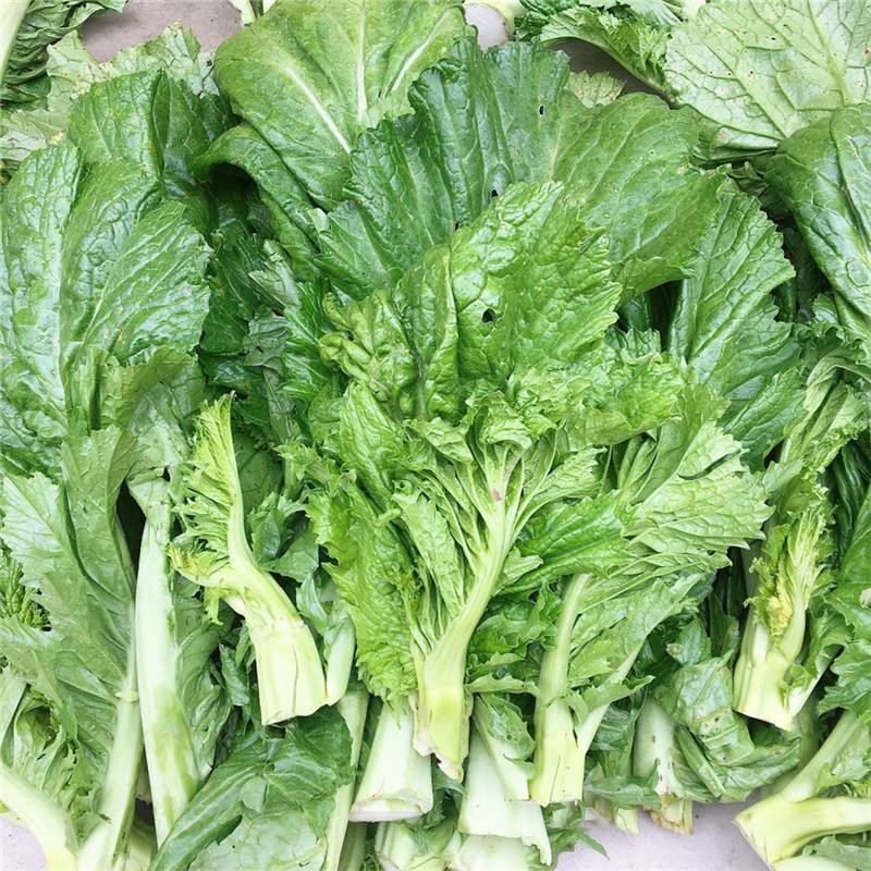 棒棒芥菜(芥菜棒的做法大全窍门)