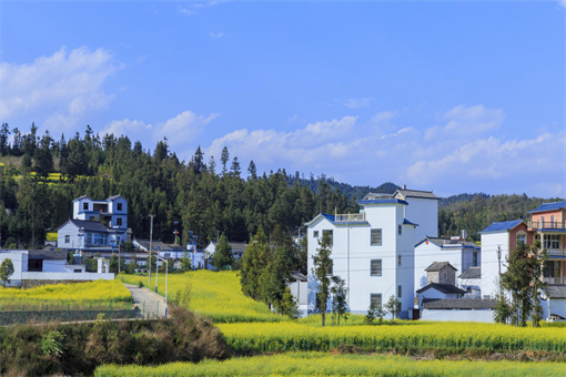 农村建设管理(农村建设管理局是干嘛的)