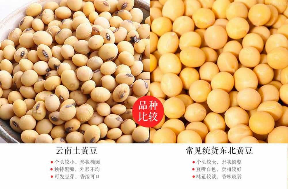 转基因豆类(转基因豆类如何分辨)