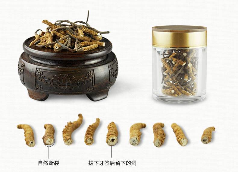虫草断草没有头(虫草断草和整个的有区别吗)