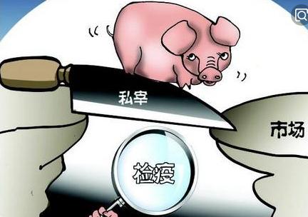 生猪病害防治(生猪病害防治方法)