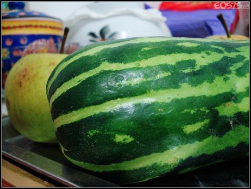 菜瓜怎么育苗(黄瓜苗是什么菜)