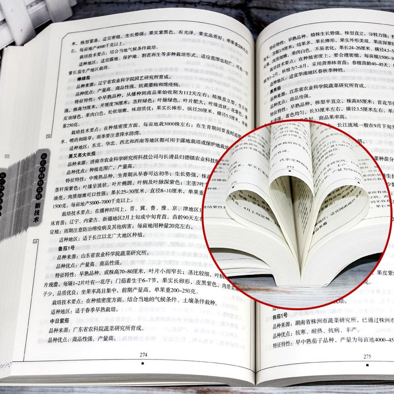 西红柿怎么防治病害(西红柿怎么防治病害虫)